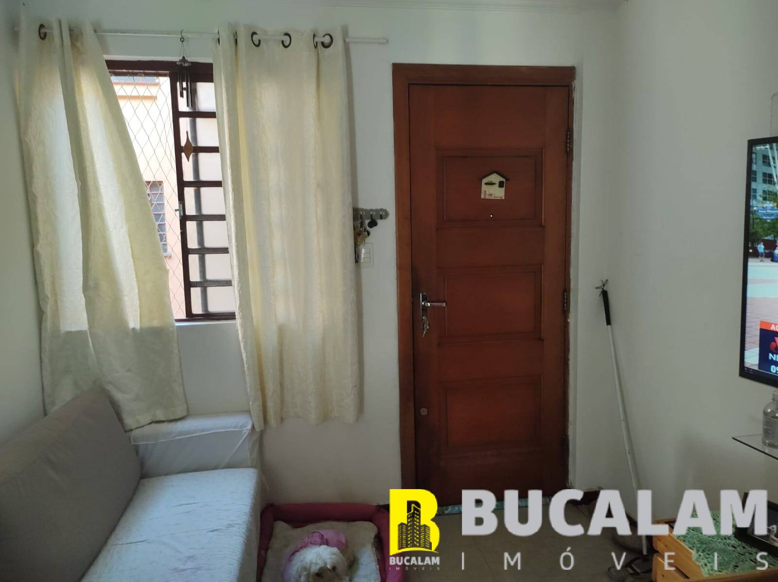 Apartamento à venda com 2 quartos, 50m² - Foto 13