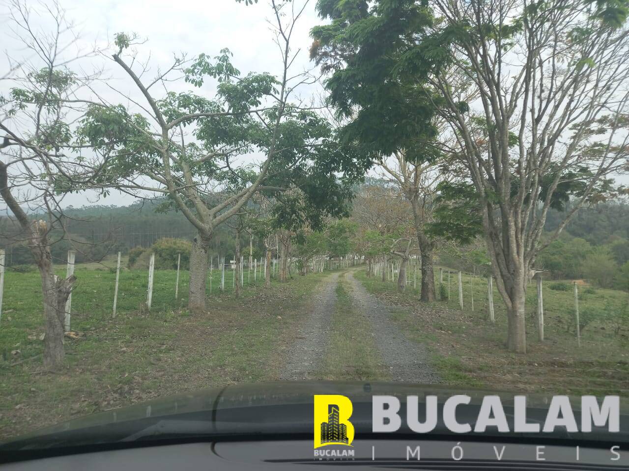 Fazenda à venda com 6 quartos, 9m² - Foto 24