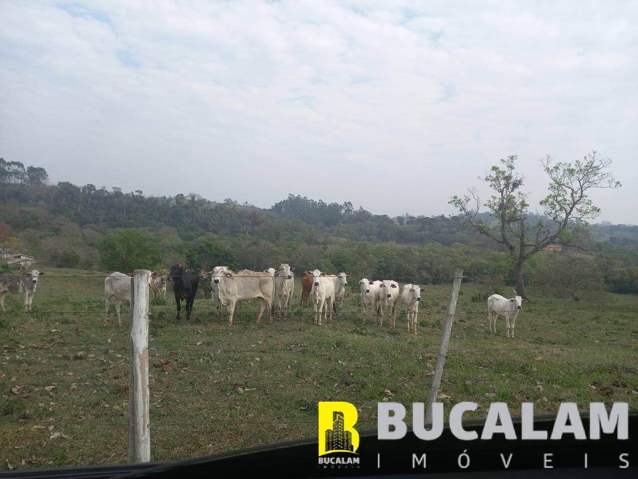 Fazenda à venda com 6 quartos, 9m² - Foto 25