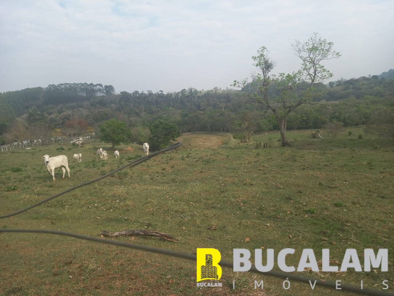 Fazenda à venda com 6 quartos, 9m² - Foto 26