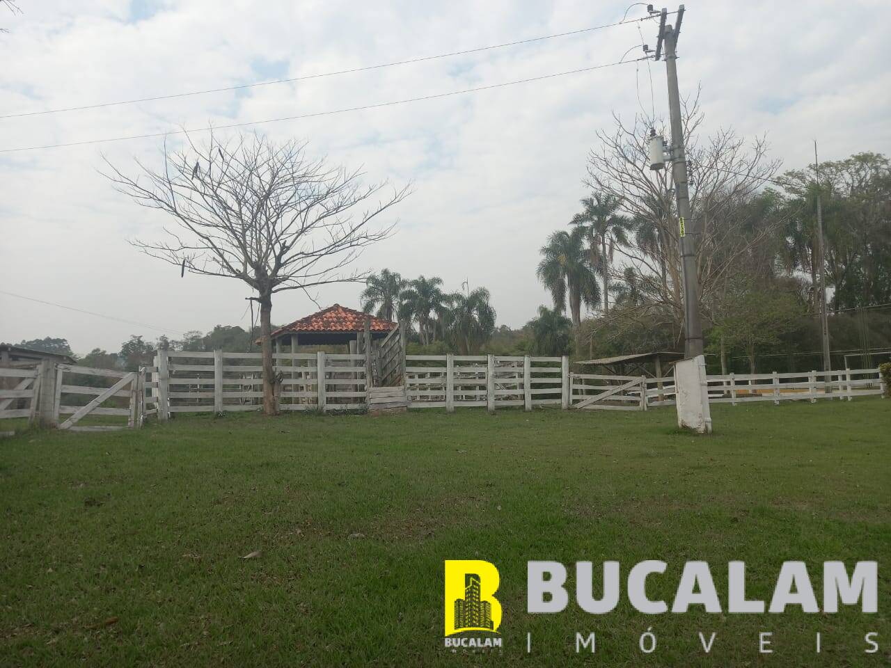 Fazenda à venda com 6 quartos, 9m² - Foto 23