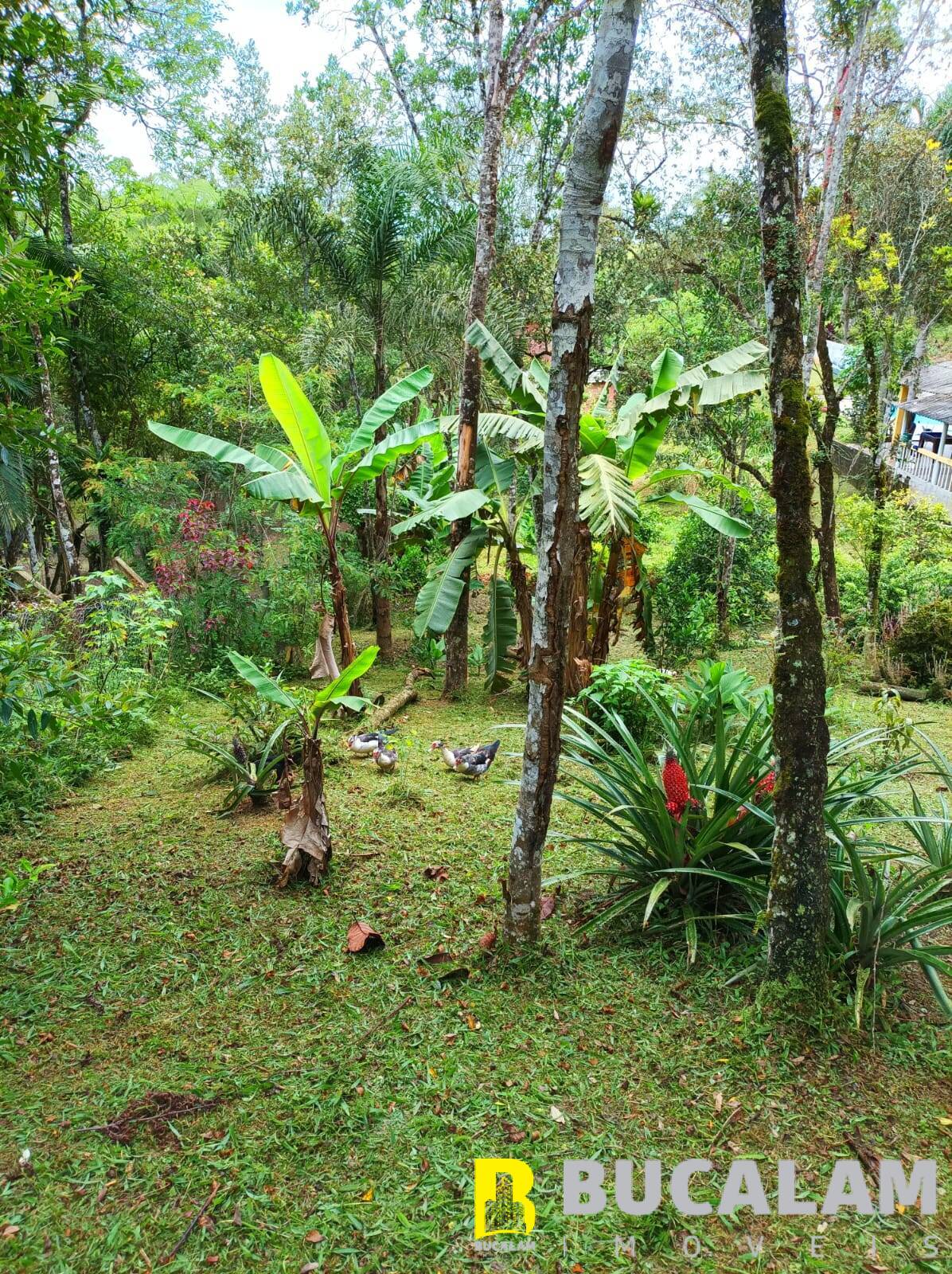 Fazenda à venda com 2 quartos, 5000m² - Foto 18