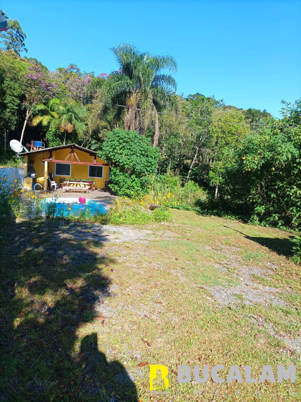 Fazenda à venda com 2 quartos, 5000m² - Foto 4