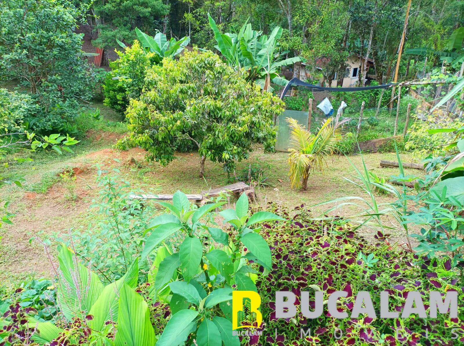 Fazenda à venda com 2 quartos, 5000m² - Foto 20