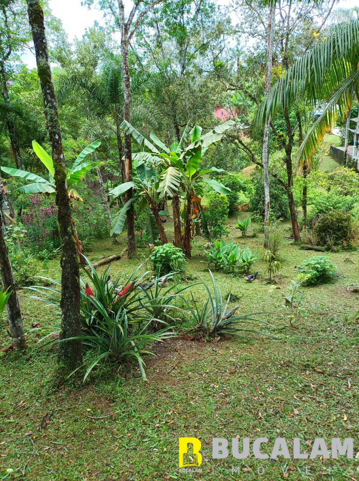 Fazenda à venda com 2 quartos, 5000m² - Foto 19